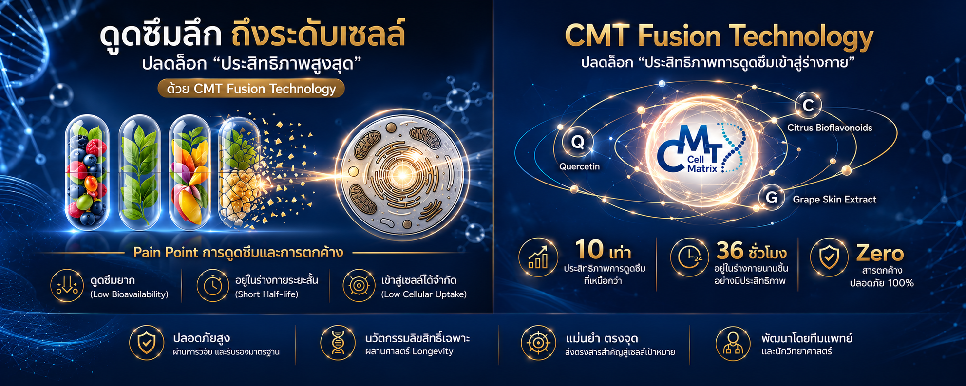 Home New CMT กับการดูดซึมสารอาหาร
