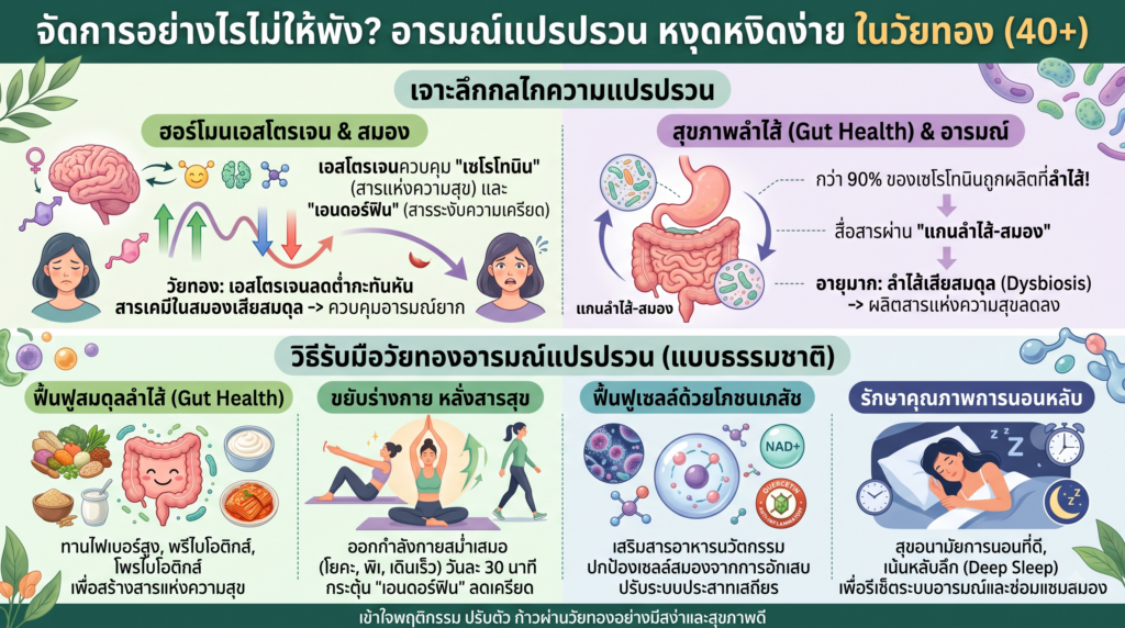 อารมณ์แปรปรวน หงุดหงิดง่าย ในวัยทอง จัดการอย่างไรไม่ให้พัง? สาเหตุอาการวัยทองอารมณ์แปรปรวน หงุดหงิดง่าย และวิธีรับมืออย่างเป็นธรรมชาติ ผู้หญิงวัย 40+ มีอาการหงุดหงิดง่ายและอารมณ์แปรปรวนจากภาวะวัยทอง