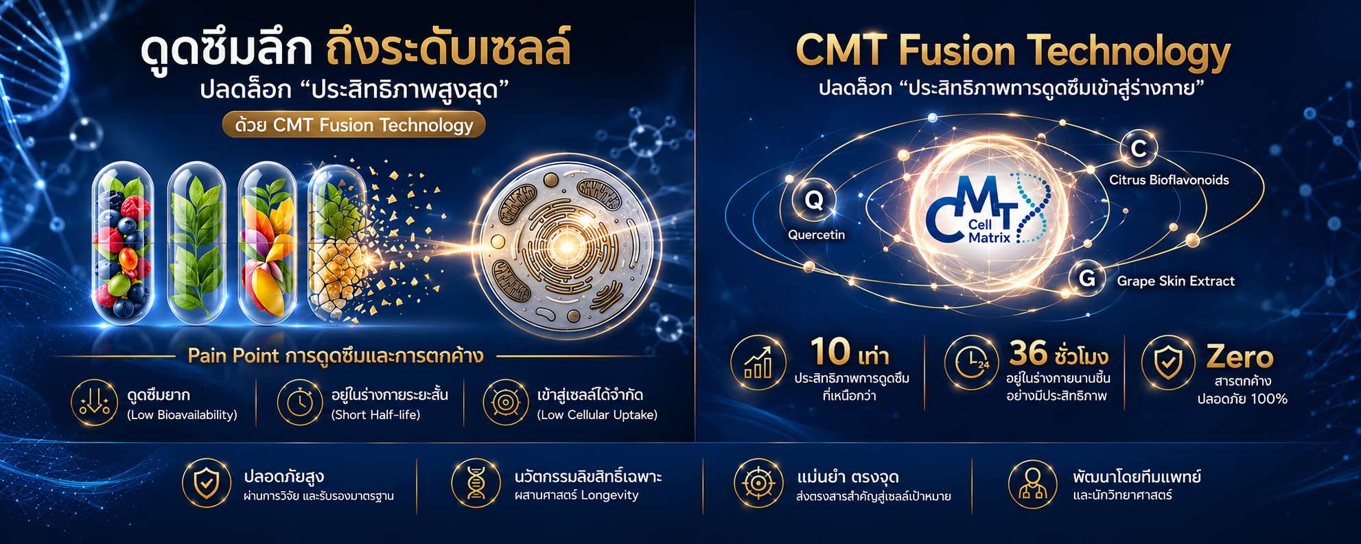 Home New cmt absorb